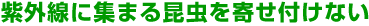 紫外線に集まる昆虫を寄せ付けない